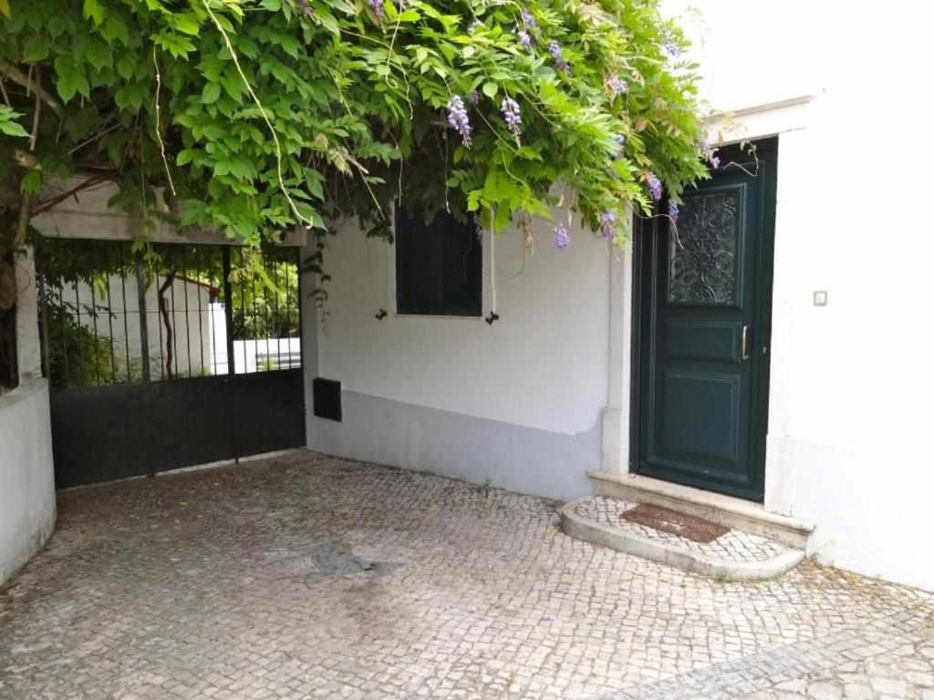 Casa dos Pocinhos Férias tranquilas no campo Torres Novas Exterior foto
