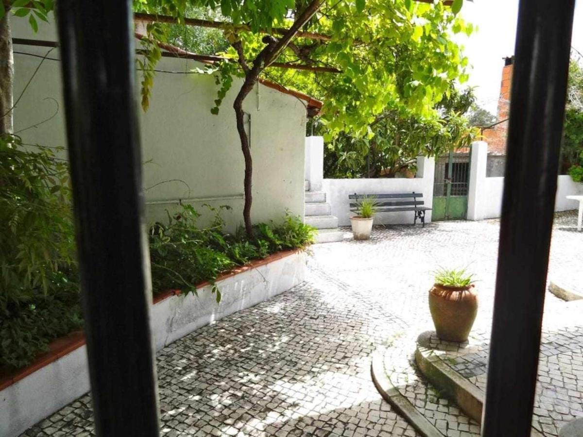 Casa dos Pocinhos Férias tranquilas no campo Torres Novas Exterior foto