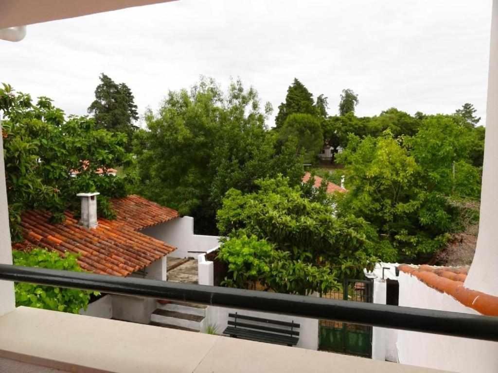 Casa dos Pocinhos Férias tranquilas no campo Torres Novas Exterior foto